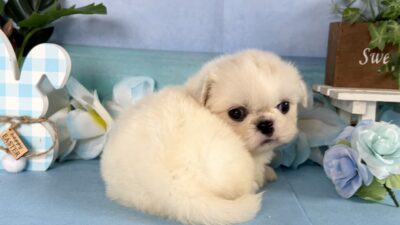 更新情報